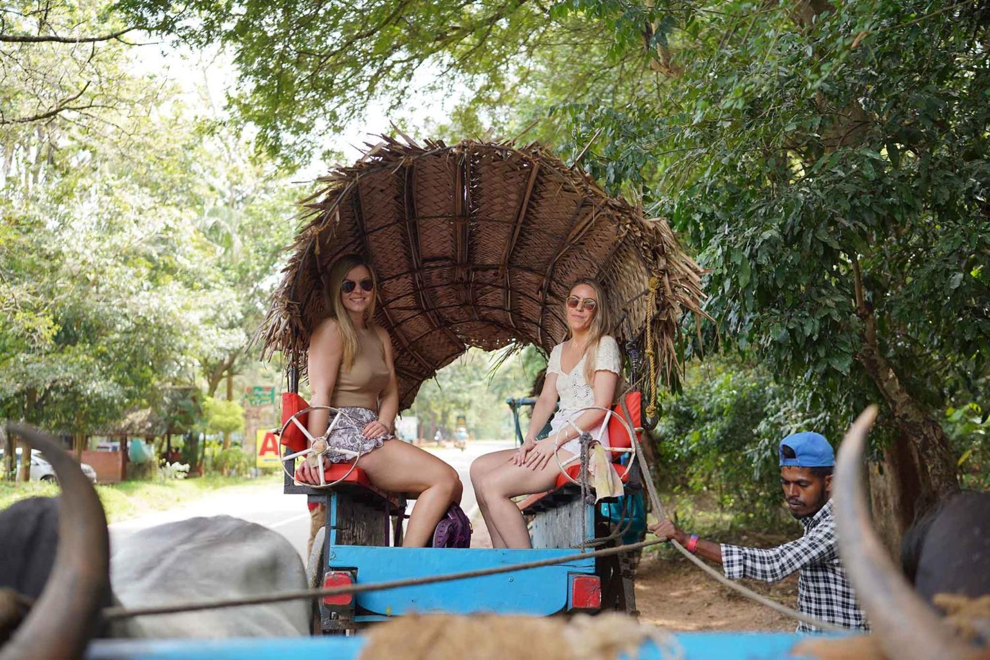 Sigiriya Kingdom Resort Dambulla Exteriör bild
