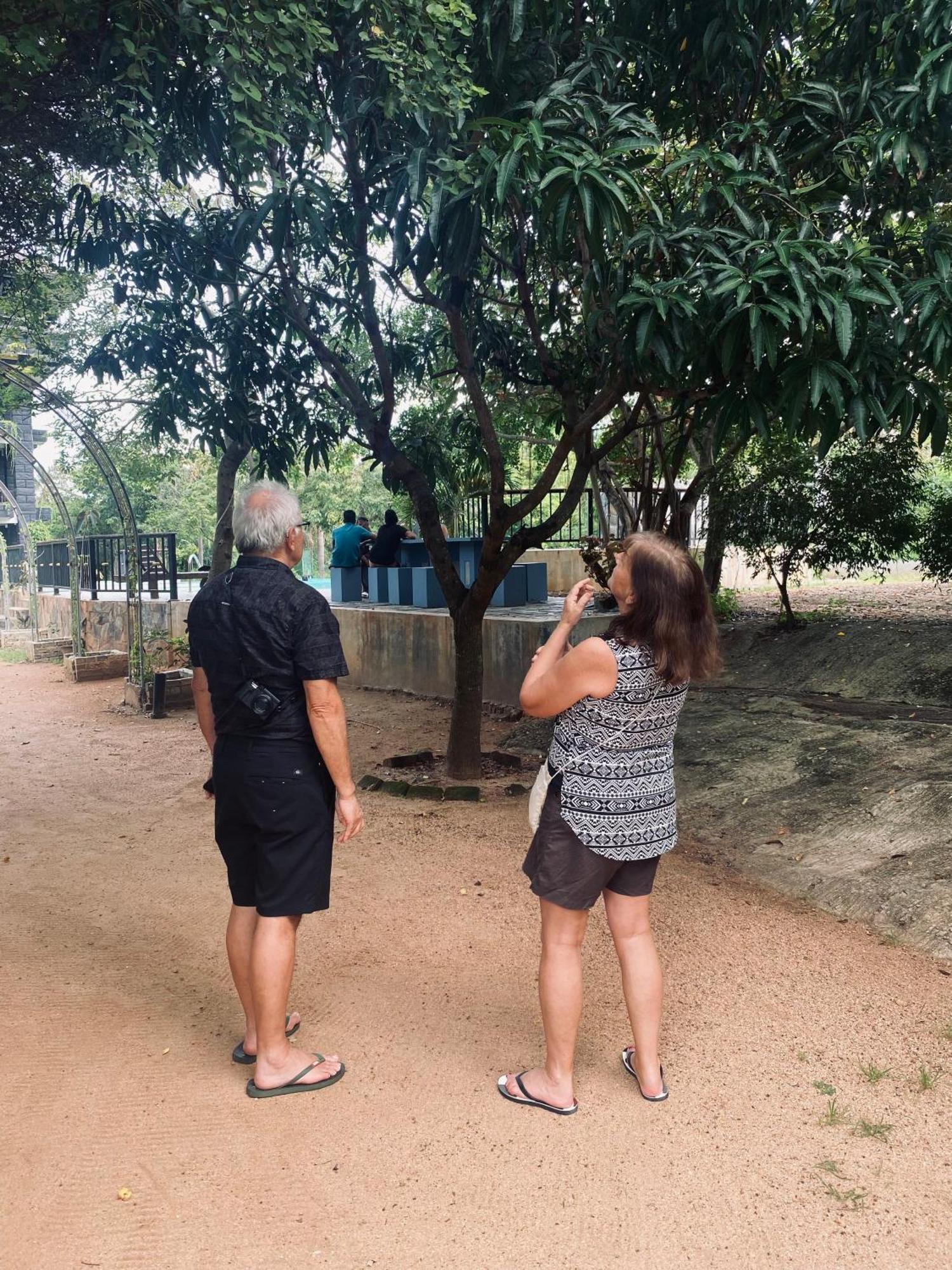 Sigiriya Kingdom Resort Dambulla Exteriör bild